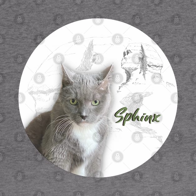 Sphynx Egyptian Grey Cat by Long-N-Short-Shop